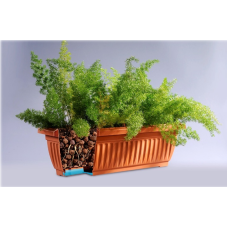 CHẬU DÀI BABA-BI-519 -MÀU NGÓI/ NÂU ĐẬM